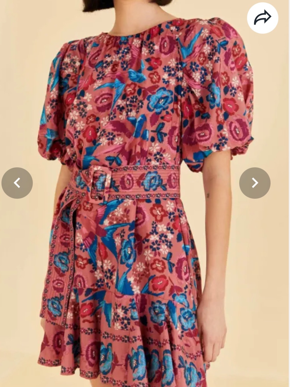 FARM Rio Blush Floral Birds Mini Dress Size Small